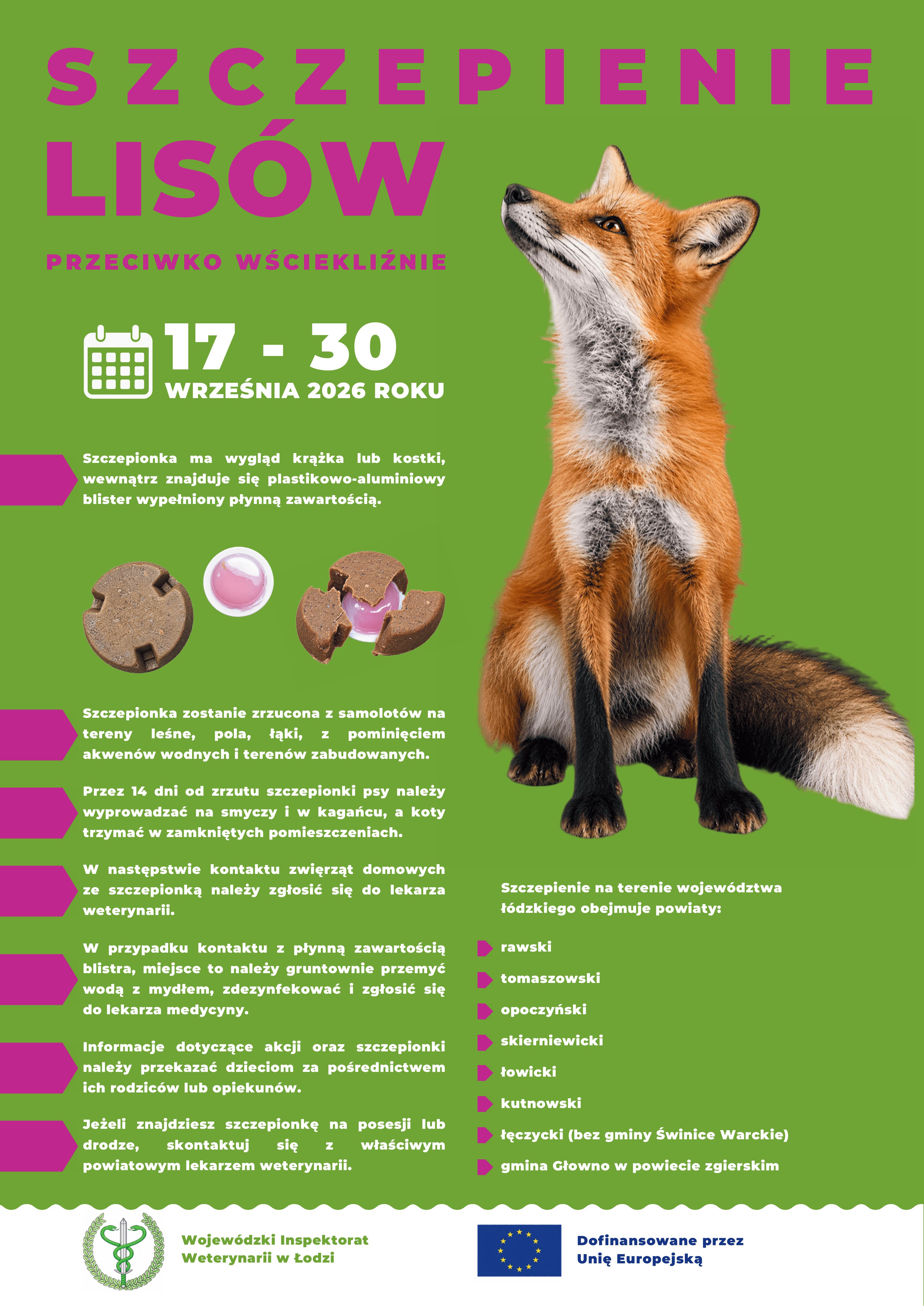 Plakat jesienne szczepienie lis&oacute;w