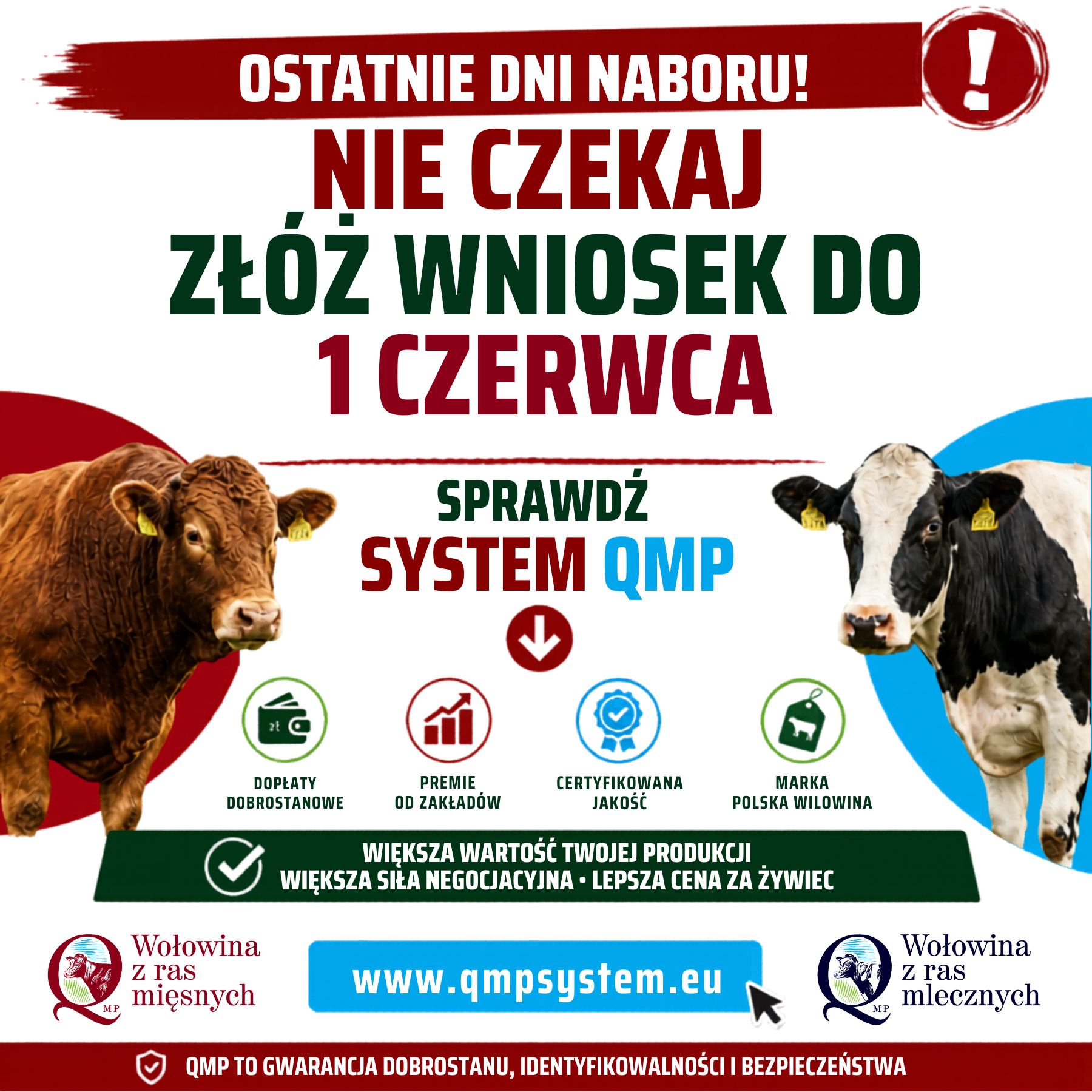 Plakat informacja o&nbsp;systemie QMP