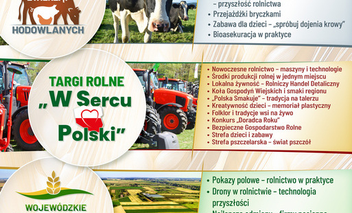Plakat Bratoszewice targi czerwiec 2026