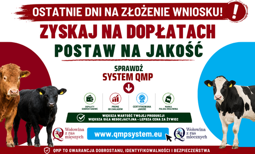 Baner o systemie QMP