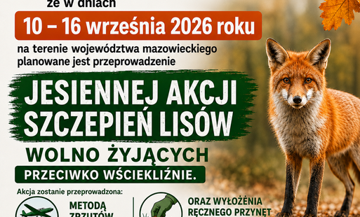 plakat szczepienie lisów